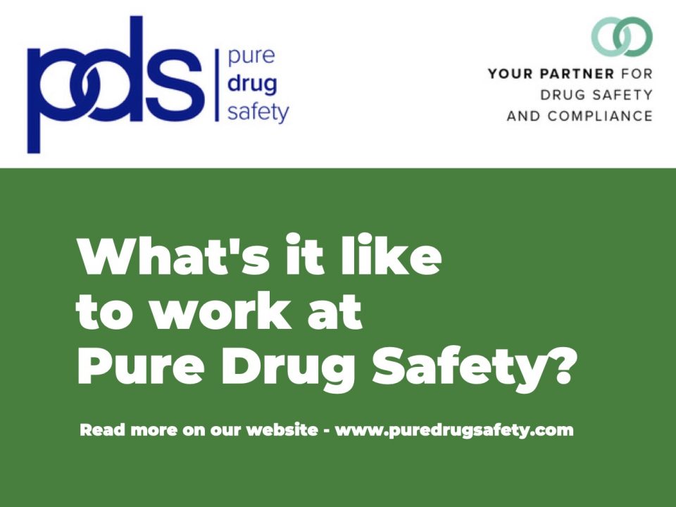 What's it like working as an intern at Pure Drug Safety?