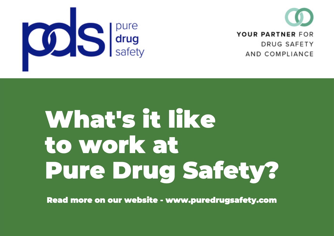 What's it like working as an intern at Pure Drug Safety?